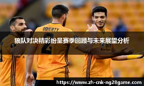 狼队对决精彩纷呈赛季回顾与未来展望分析